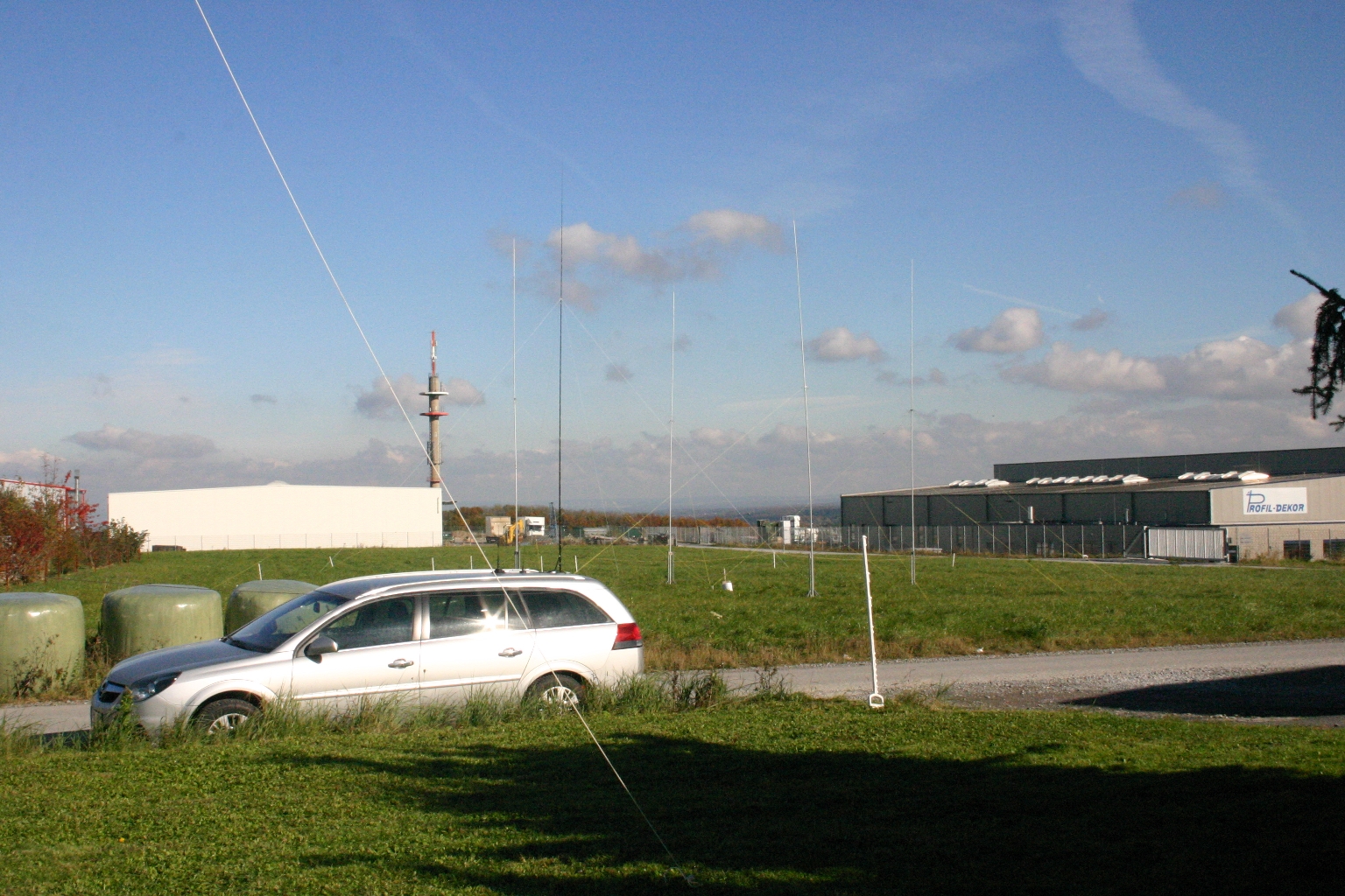 Antennen - Wiese